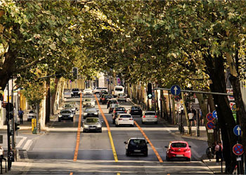 街景道路采集