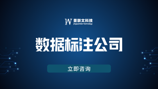 数据标注公司景联文科技：专业数据标注服务驱动AI创新与产业升级